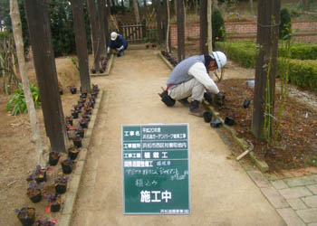 低木植栽工