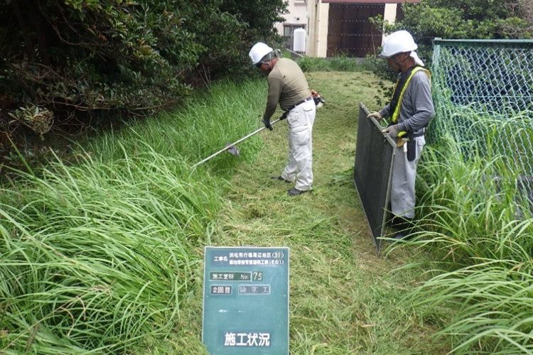 刈り取り除草の写真