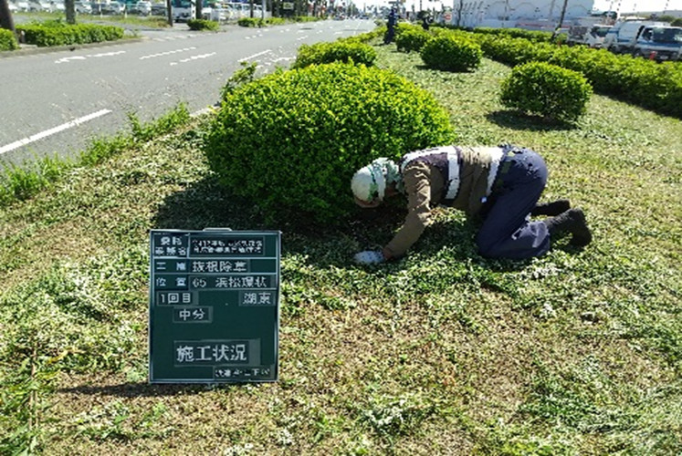 抜根除草の写真