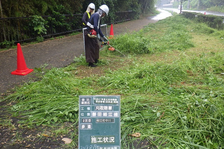 刈り取り除草の写真