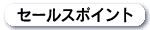 Z[X|Cg