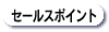 Z[X|Cg