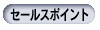 Z[X|Cg