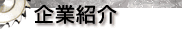 ƏЉ