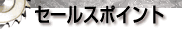 Z[X|Cg