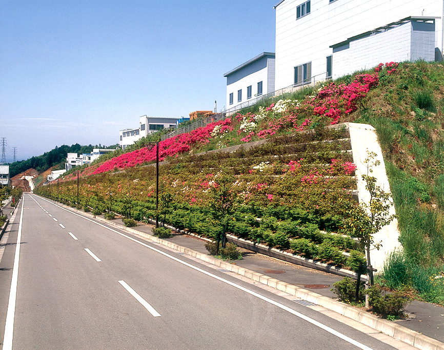 団地内主要道路